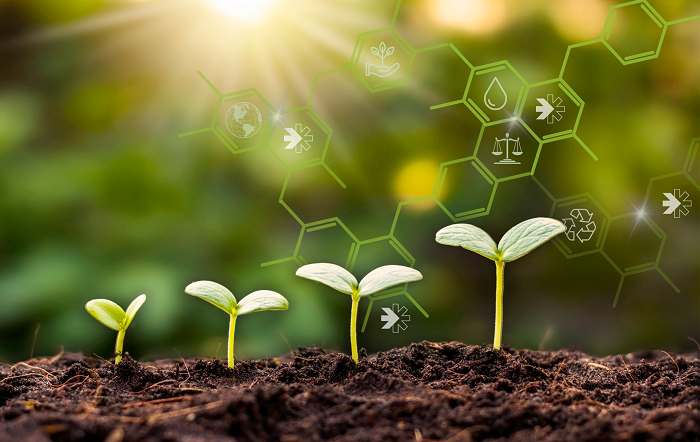 Bioinsumos-divulgação