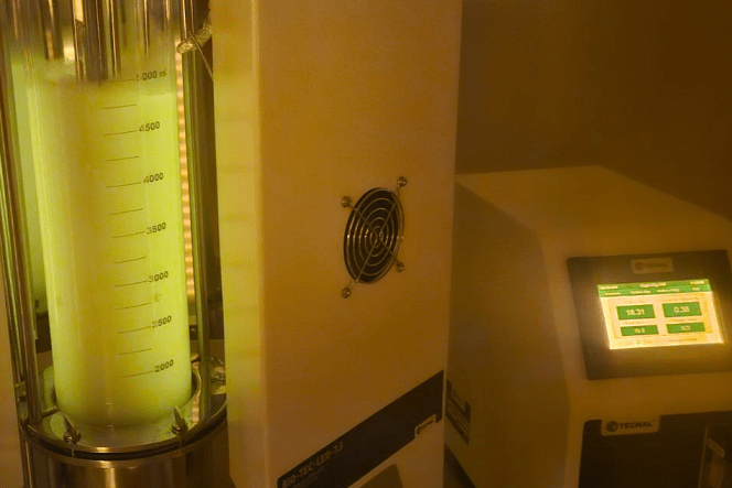 solução-divulgação