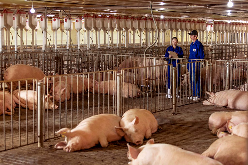 0 – FOTO ABRE -01 (4) – Copia