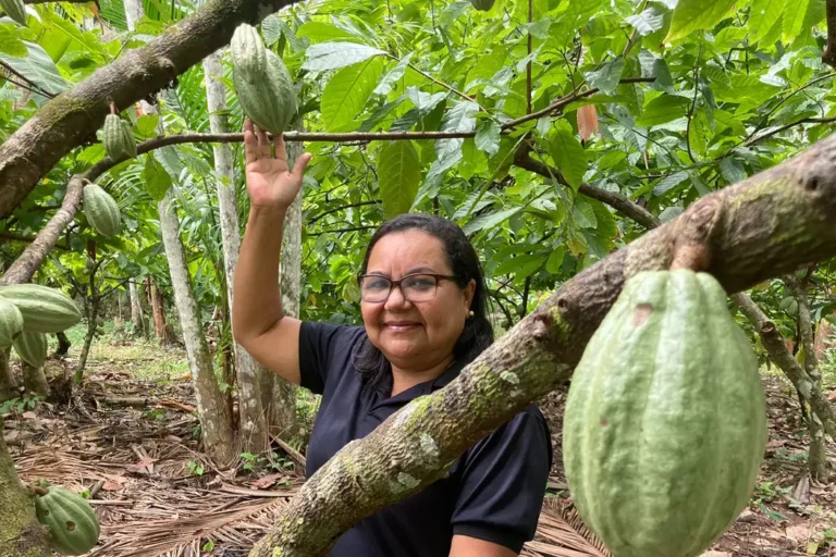 bioeconomia_no_para04