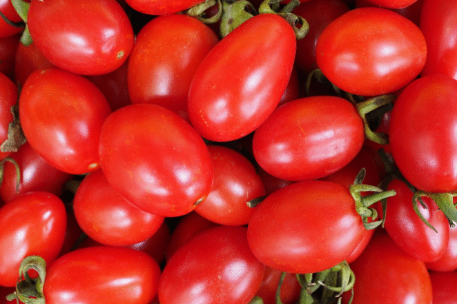 Foto-Divulgação-capa