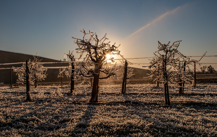 shutterstock_capa-divulgação-editado