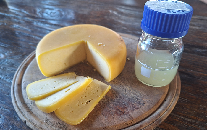 4 – Foto Daniel Arantes – EPAMIG – editado