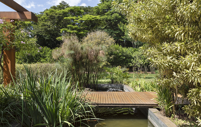 Crédito da foto – Evelyn Muller