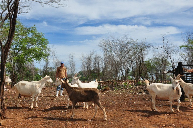 bfc8fbdb-237e-411d-846c-c1797aa1631e