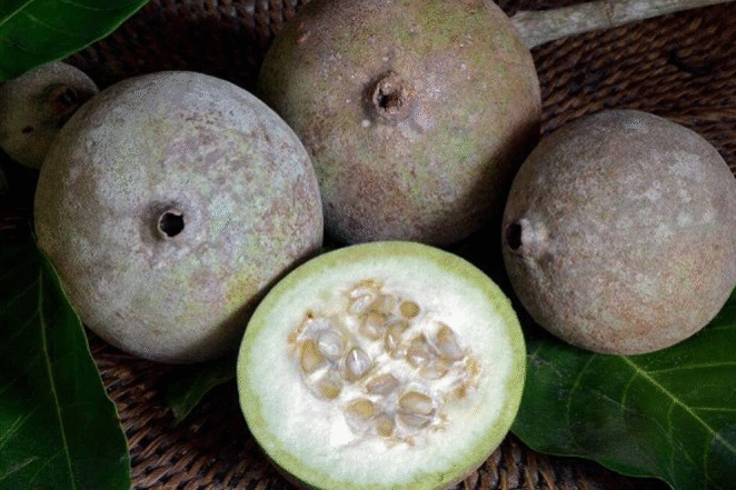 jenipapo1-shutterstock-editado