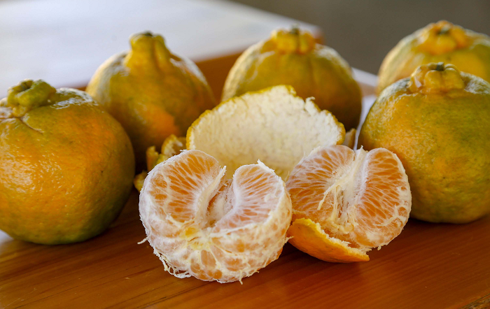 ponkan de Cerro Azul-Gilson Abreu-AEN Paraná-editado