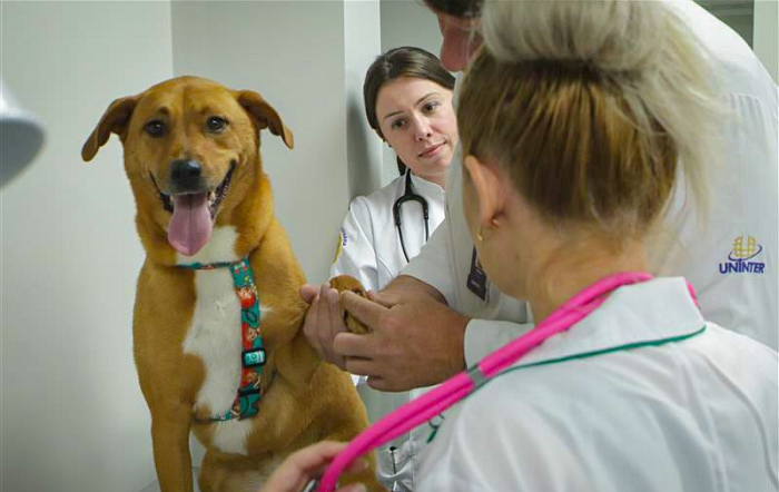 Flávio Ducatt e Gabriel Smaniotto4