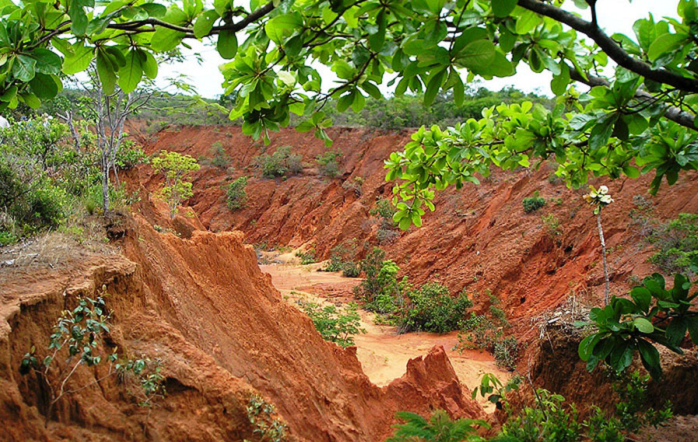 Voçoroca em área do estado do Mato Grosso – Foto-Claudio Capeche-editado