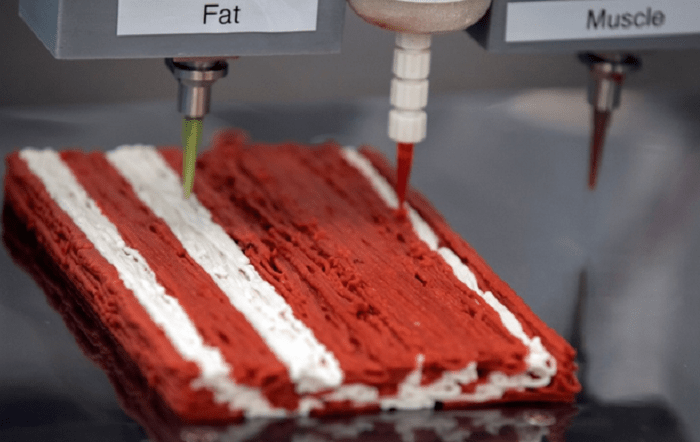 comida impressa-Google Images