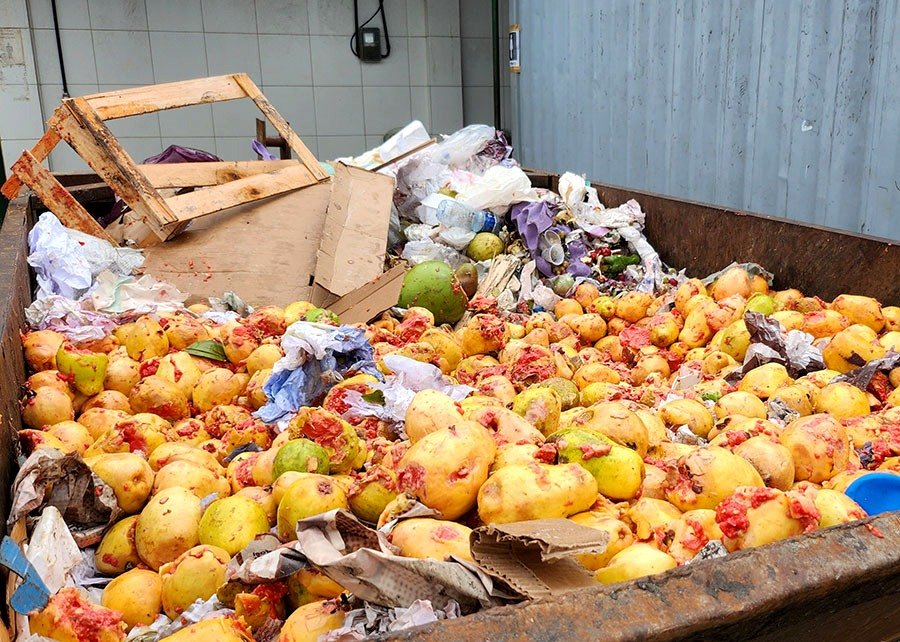 0-FT ABRE- Desperdício frutas e legumes Ceasasjpeg – Copia