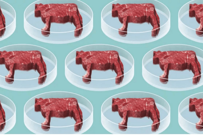 Carne-de-laboratorio-Afisa-PR-editado