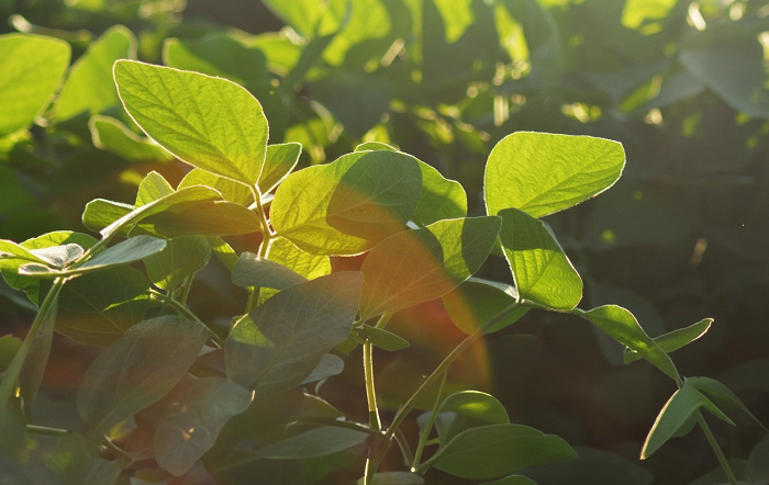 Foto-Divulgação-editado