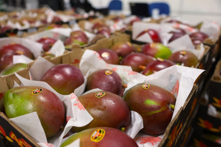 WhatsApp-Image-2024-08-01-at-20.30.29-1-scaled