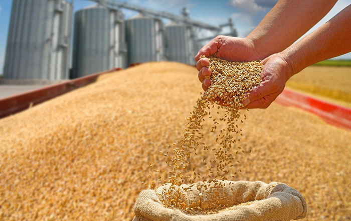 divulgação1-editado