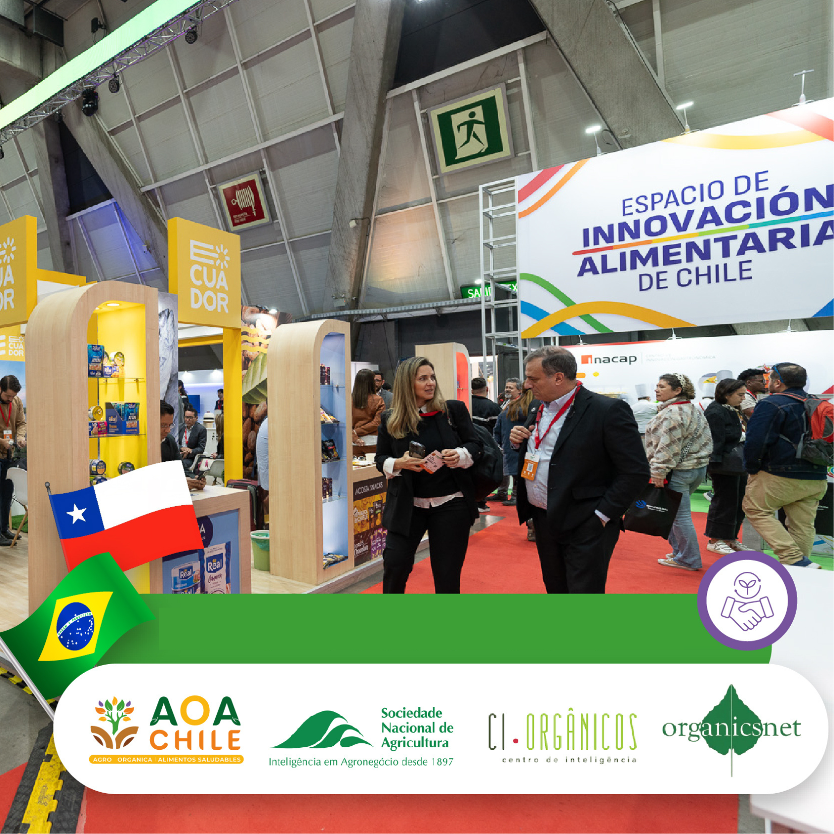 Design sem nome (28)