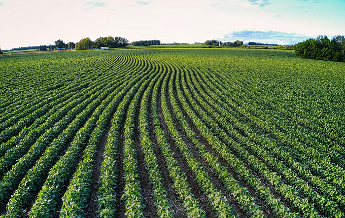 Pexels-Tom Fisk-editado