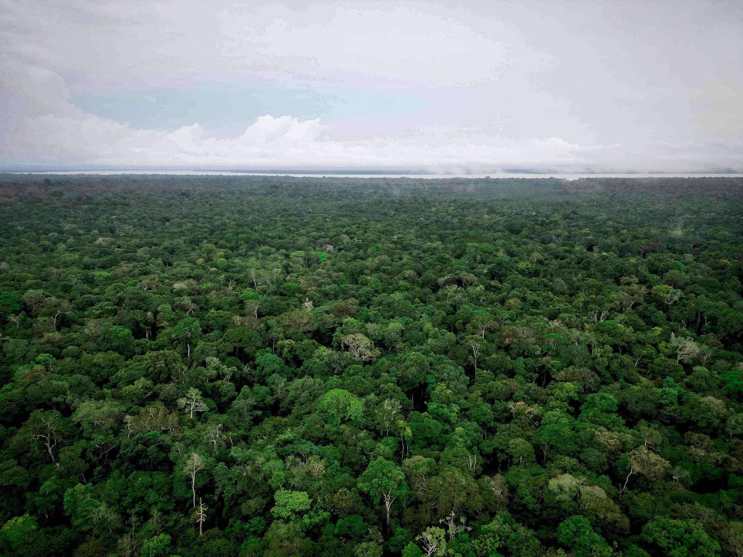 0 – FOTO ABRE -6eb6016c-c256-4c9e-ad77-ad19fe142916 – Copia