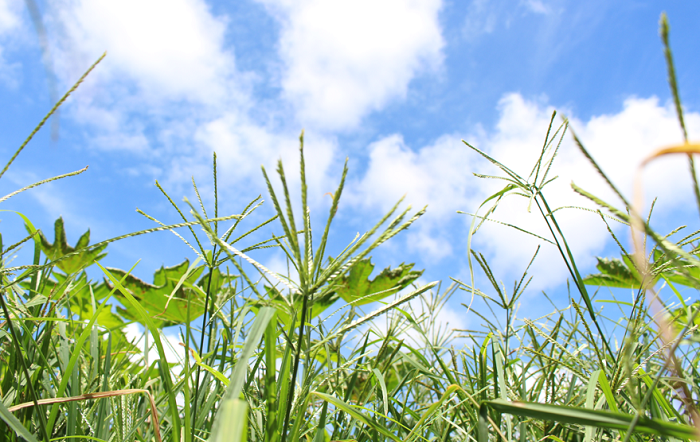 Crédito-Ourofino-editado