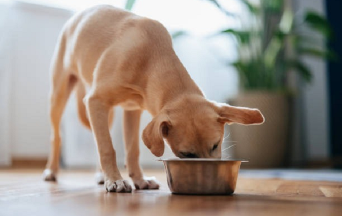 Imagem-Istock-editado