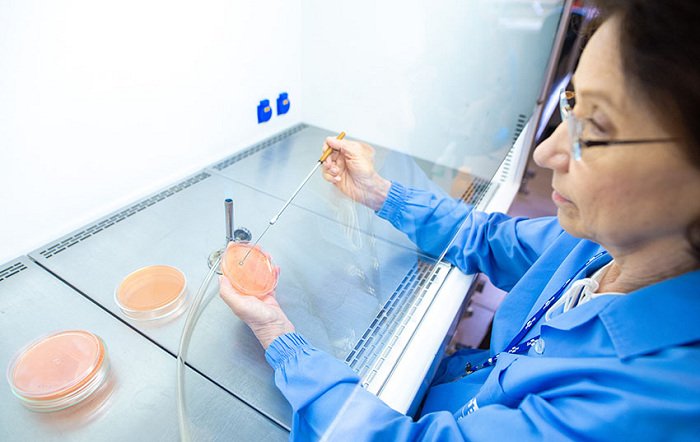 Adoção de inoculantes em soja no PR promove aumento médio de 8,33% na produtividade – Foto-Antonio Neto-editado