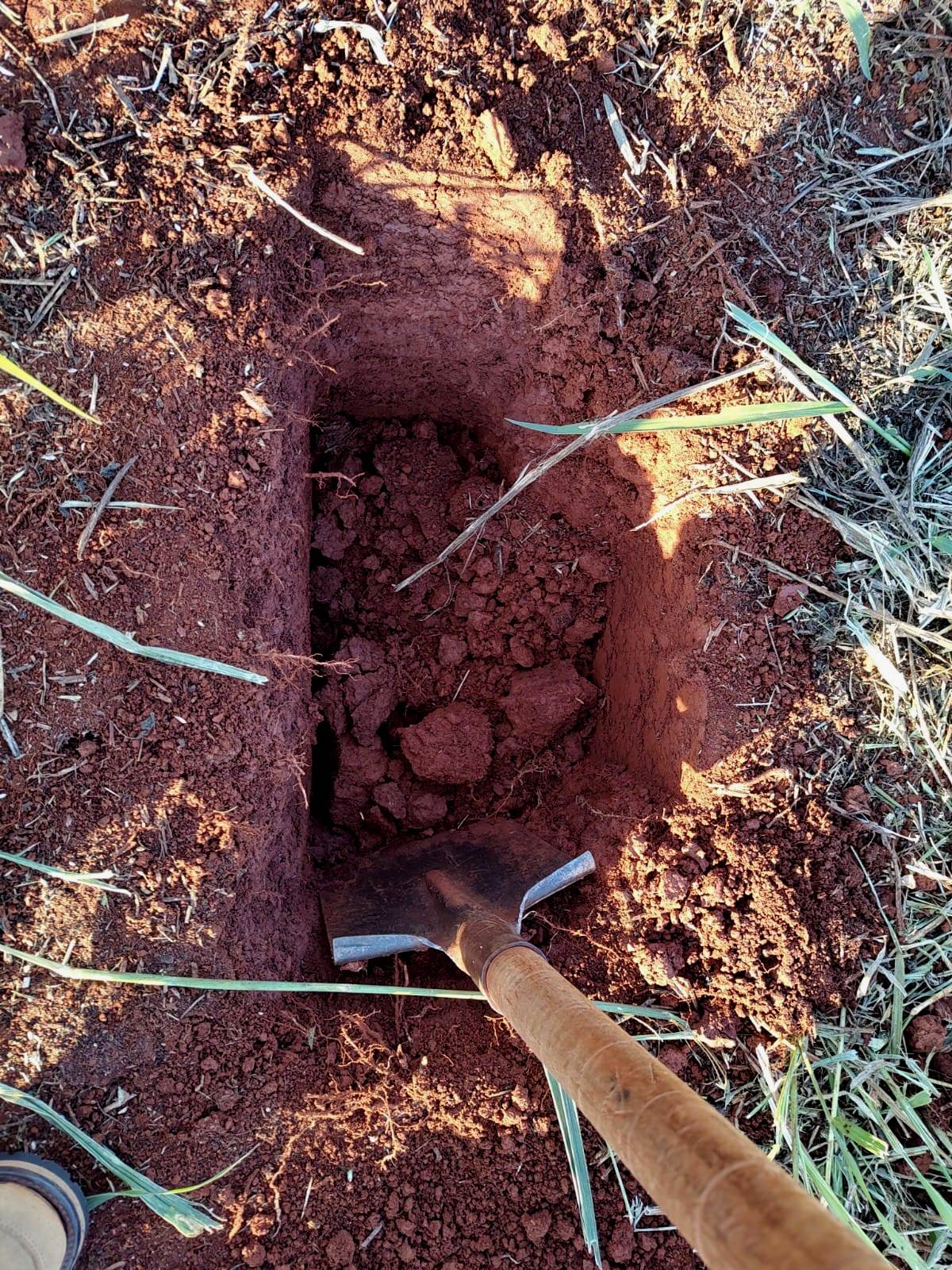 1-FT 01-Abertura para coleta de amostra – André Prando (1)