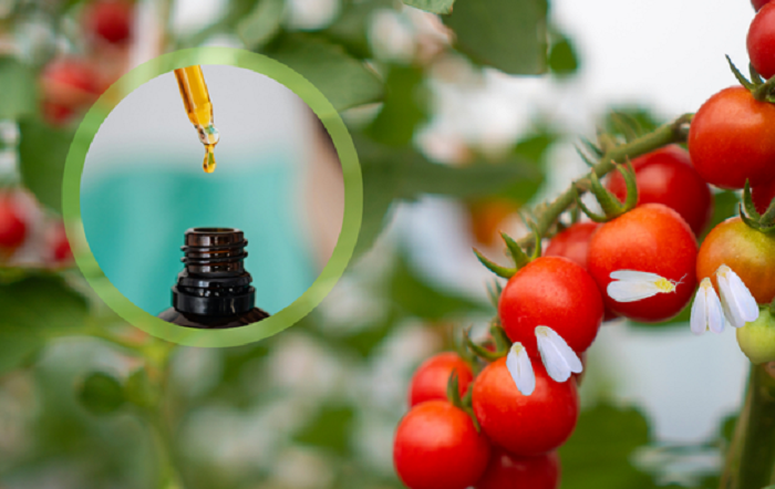 Imagem-Antonio Neto-editado