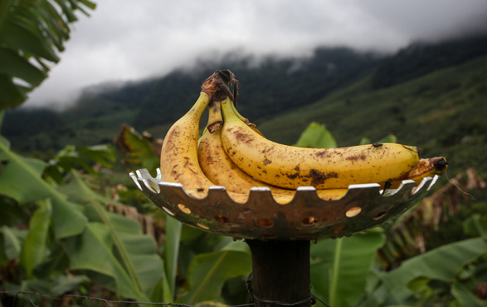 Foto-divulgação-editado