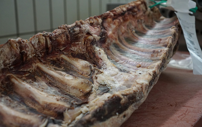 skdatastream-meat-Pixabay-editado