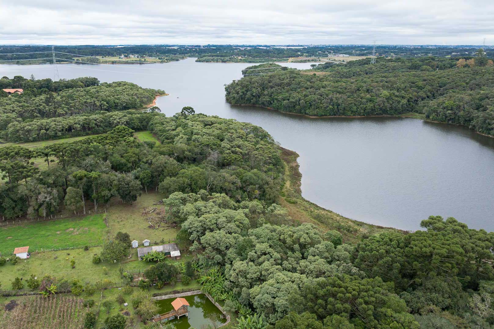 20260519_-_plantio_da_mudas_na_barragem_piraquara_ii_073