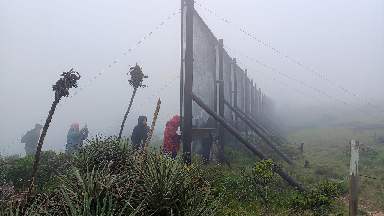 chile-fog-4