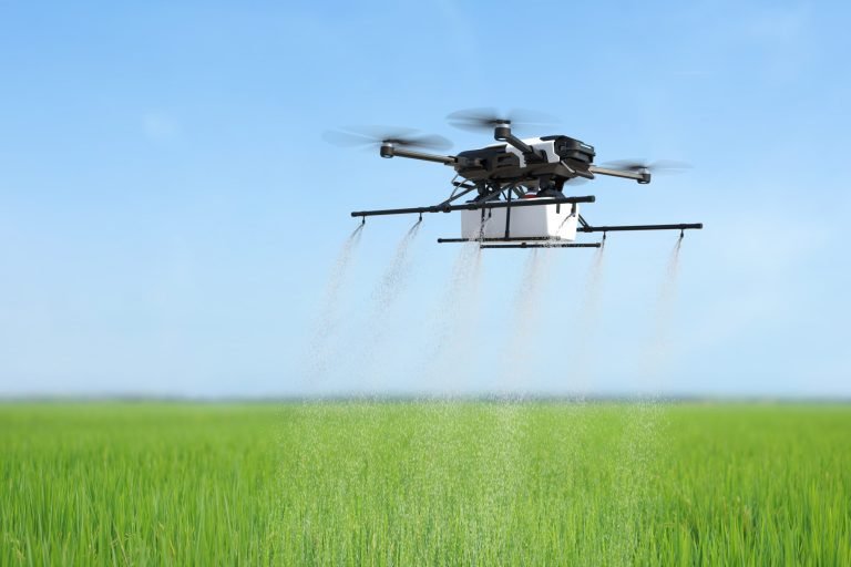 Drone spraying fertilizer on vegetable green plants, Agriculture